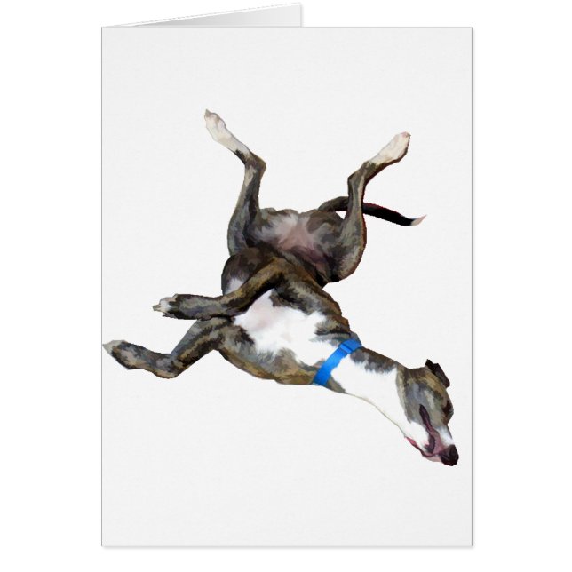 Cockroaching (Voorkant)