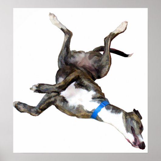 Cockroaching Poster (Voorkant)