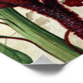 Cock's Comb Flower Fine Art Poster (Hoek)