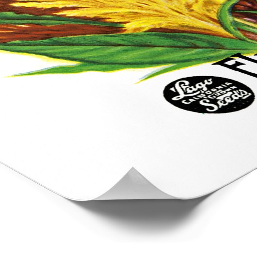 Cockscomb Poster (Hoek)