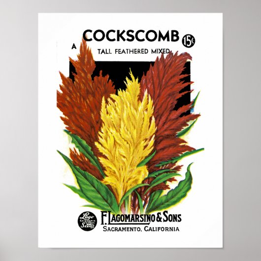 Cockscomb Poster (Voorkant)
