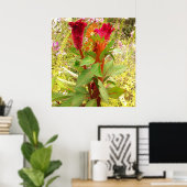 COCKSCOMB-STROOM POSTER (Thuiskantoor)