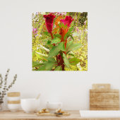 COCKSCOMB-STROOM POSTER (Keuken)