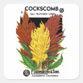 Cockscomb Vierkante Sticker (Voorkant)