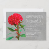 Cockscomb Wedding Invitations Kaart (Voorkant)