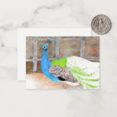 "Cocky" originele kunst Notitiekaartje (Voorkant / Achterkant in situ)