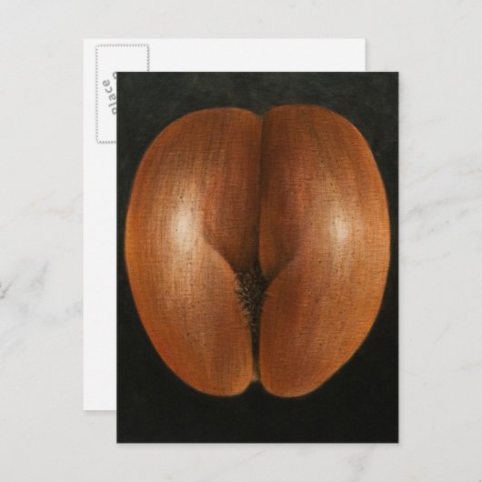 Coco de Mer 2010 Briefkaart (Voorkant / Achterkant)