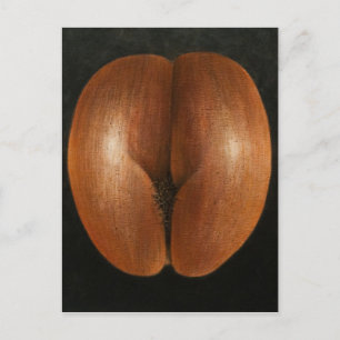 Coco de Mer 2010 Briefkaart