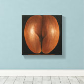 Coco de Mer 2010 Canvas Afdruk (Insitu (Houten vloer))