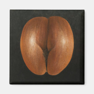 Coco de Mer 2010 Magneet