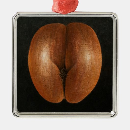 Coco de Mer 2010 Metalen Ornament (Voorkant)