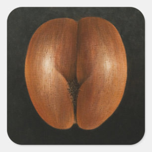 Coco de Mer 2010 Vierkante Sticker
