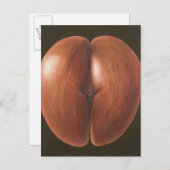 Coco de Mer Maldives 2012 Briefkaart (Voorkant / Achterkant)