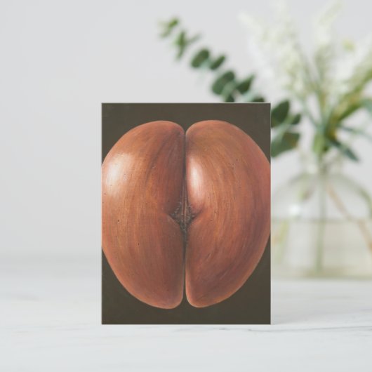 Coco de Mer Maldives 2012 Briefkaart (Staand voorkant)