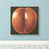 Coco de Mer Maldives 2012 Canvas Afdruk (Insitu (Houten vloer))