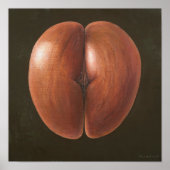 Coco de Mer Maldives 2012 Poster (Voorkant)