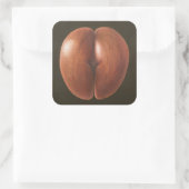 Coco de Mer Maldives 2012 Vierkante Sticker (Tas)