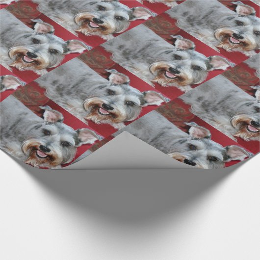 Coco, de mini schnauzer, cadeauomslag. cadeaupapier (Hoek)