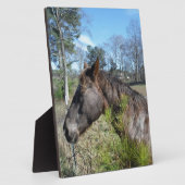 Coco en Cream Colored Horse Fotoplaat (Zijkant)