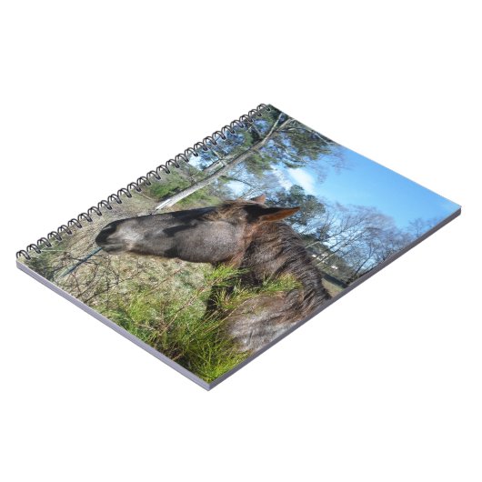 Coco en Cream Colored Horse Notitieboek (Linkerzijde)