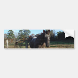 Coco- en crèmebruin paard bumpersticker