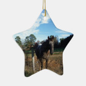 Coco- en crèmebruin paard keramisch ornament (Rechts)