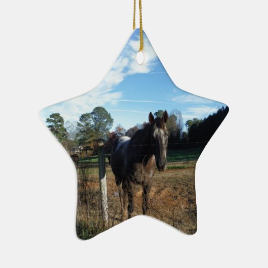 Coco- en crèmebruin paard keramisch ornament (Rechts)