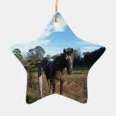 Coco- en crèmebruin paard keramisch ornament (Voorkant)