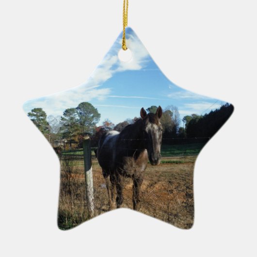 Coco- en crèmebruin paard keramisch ornament (Voorkant)