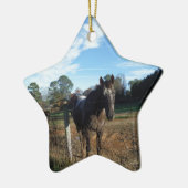 Coco- en crèmebruin paard keramisch ornament (Links)