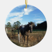 Coco- en crèmebruin paard keramisch ornament (Voorkant)