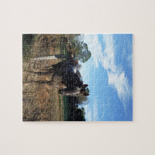 Coco- en crèmebruin paard legpuzzel (Horizontaal)