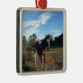 Coco- en crèmebruin paard metalen ornament (Rechts)