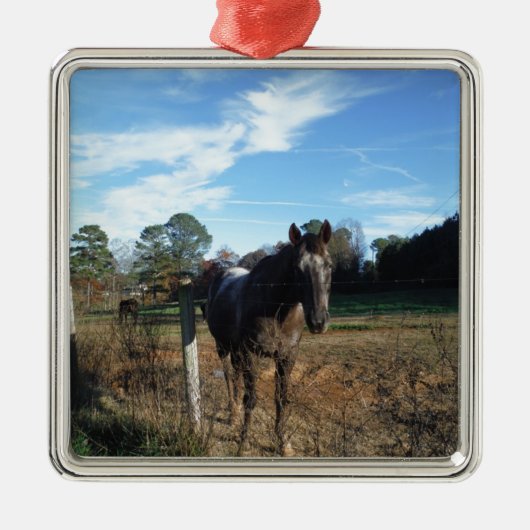 Coco- en crèmebruin paard metalen ornament (Voorkant)