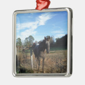 Coco- en crèmebruin paard metalen ornament (Links)