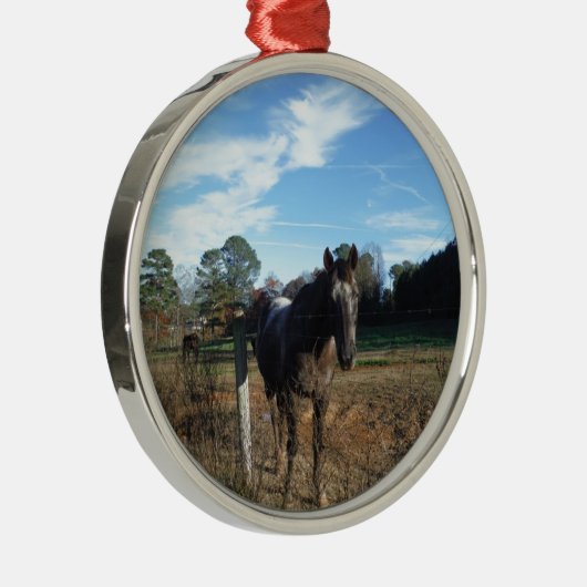 Coco- en crèmebruin paard metalen ornament (Rechts)