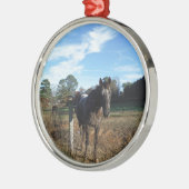 Coco- en crèmebruin paard metalen ornament (Links)