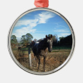 Coco- en crèmebruin paard metalen ornament (Voorkant)