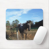 Coco- en crèmebruin paard muismat (Met muis)