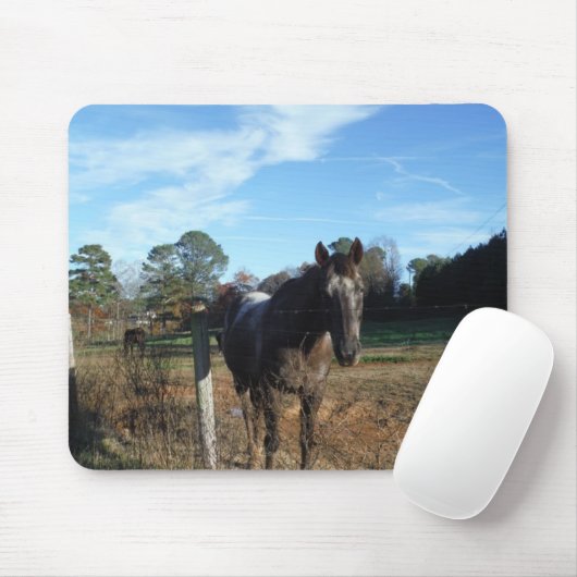 Coco- en crèmebruin paard muismat (Met muis)