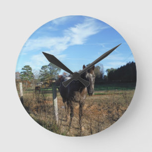 Coco- en crèmebruin paard ronde klok