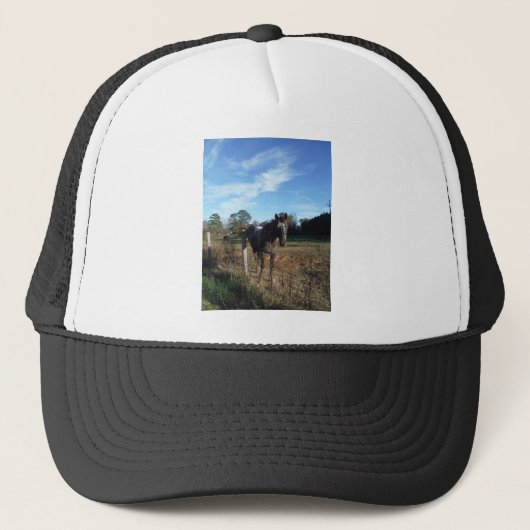 Coco- en crèmebruin paard trucker pet (Voorkant)