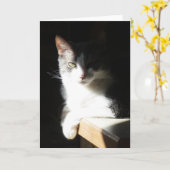 "Coco in het licht I." Wenskaart Kaart (Gele Bloem)