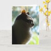 Coco in het raam.  Wenskaart Kaart (Gele Bloem)