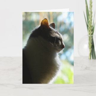 Coco in het raam. Wenskaart Kaart