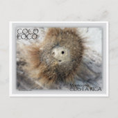 COCO LOCO NUT BRIEFKAART (Voorkant)