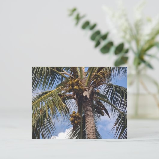 COCO PALM-BRIEFKAART BRIEFKAART (Staand voorkant)