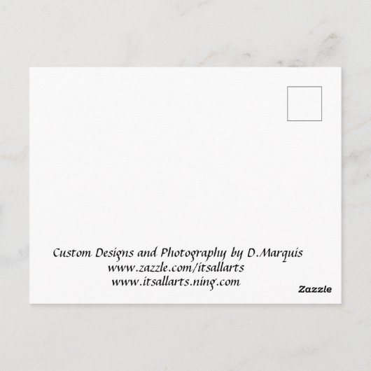 COCO PALM-BRIEFKAART BRIEFKAART (Achterkant)