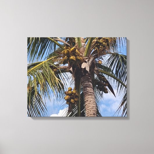 COCO PALM CANVAS AFDRUK (Voorkant)
