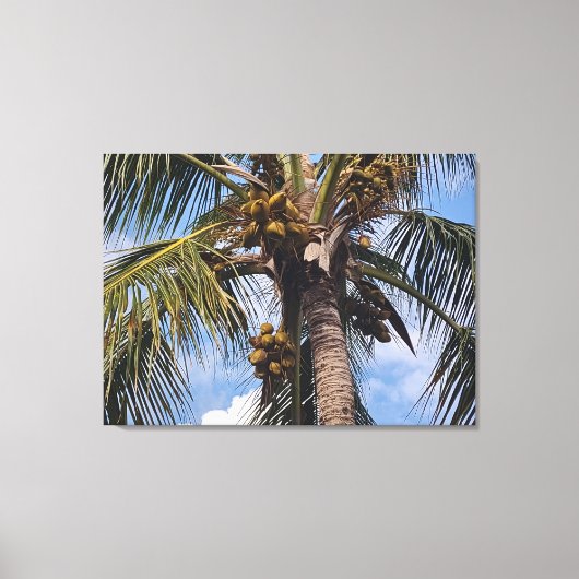 COCO PALM CANVAS AFDRUK (Voorkant)